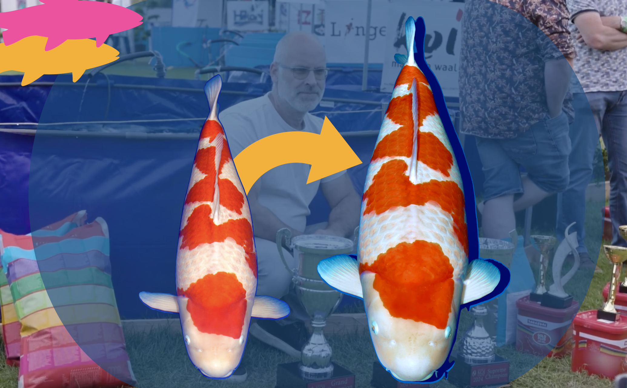 rob van der hulst plays Grand Champion with Supreme Champion matsue Kohaku