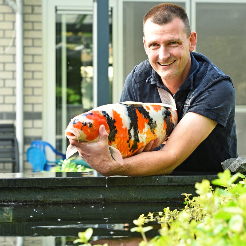 Koen Gevers is vanaf 5 oktober nieuwe docent bij Koi Academy