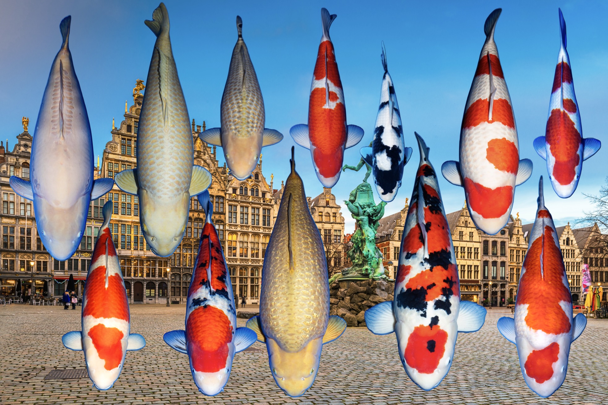 Major Awards Belgium Koi Show 2026