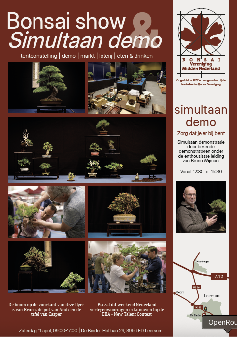 Bonsai Show Leersum van Bonsai Vereniging Midden-Nederland
