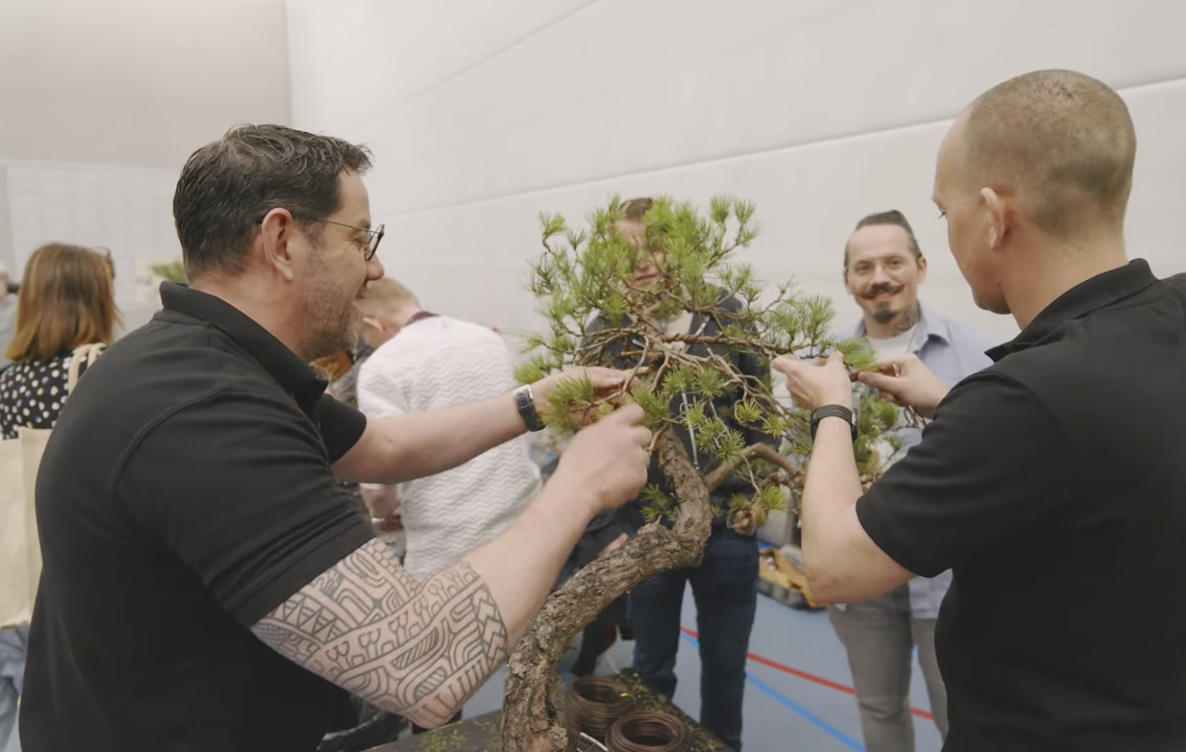 Frank and Glenn work together in the demonstration of a bonsai transformed from wild bush to beautiful bonsai in a few hours
