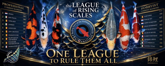 Tussenklassement The League of Rising Scales
